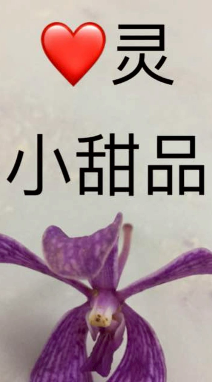 心靈小甜品
