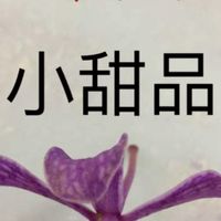 心靈小甜品