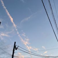 医学部､看護学部､歯学部等志望