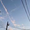 医学部医学科志望