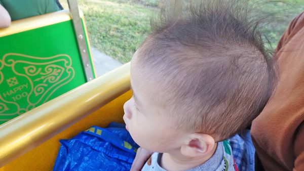 【三重景點】大都會公園希望小火車，假日限定！親子旅遊必玩小火車景點，真實體驗完整介紹，購票地點、攻略完整一次介紹
