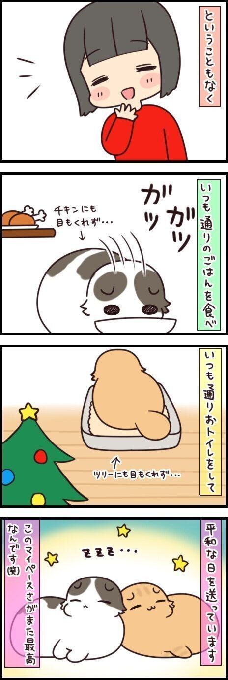 猫イラストルーレット にクリスマスバージョンが登場