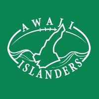 Awaji Islanders