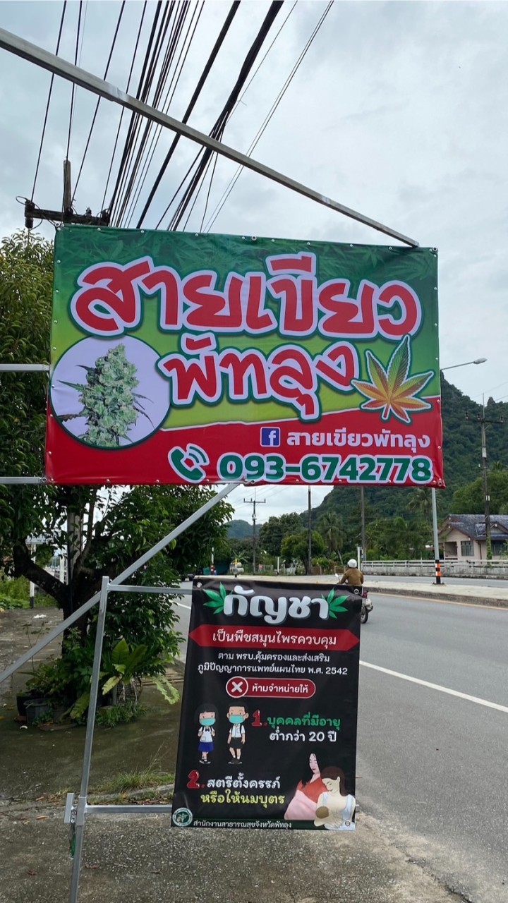 สายเขียวพัทลุง