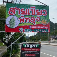 สายเขียวพัทลุง