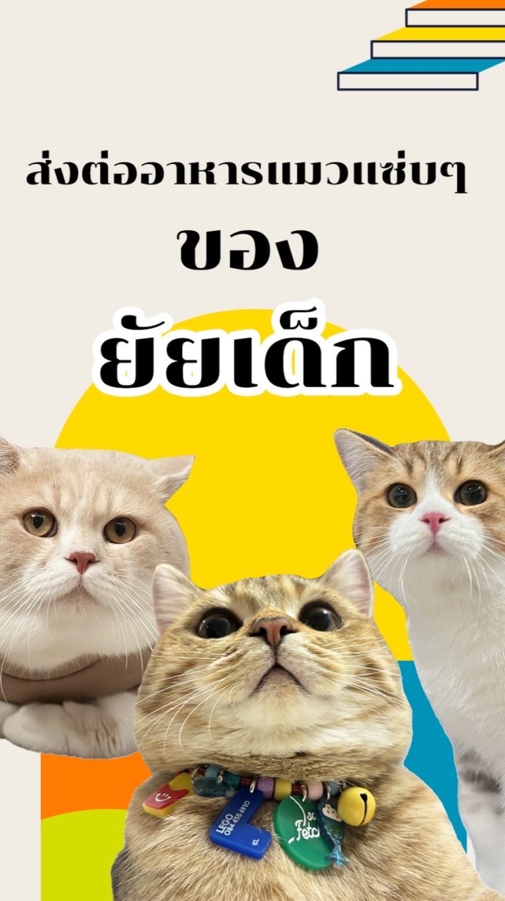 กลุ่มส่งต่ออาหารแมวแซ่บๆของยัยเด็ก🐈