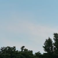 From許願池代購