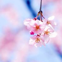 浪人生少人数勉強会