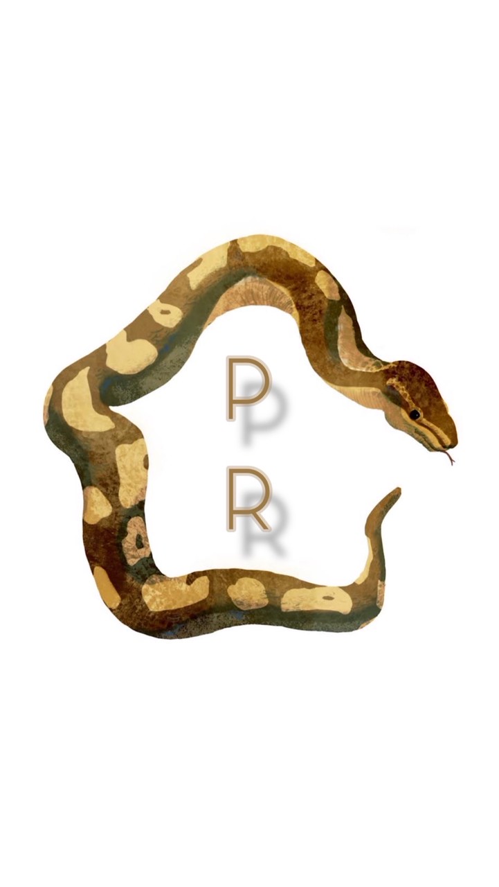 「PR」工作室•Reptile