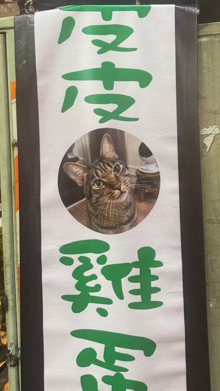 皮皮雞蛋糕