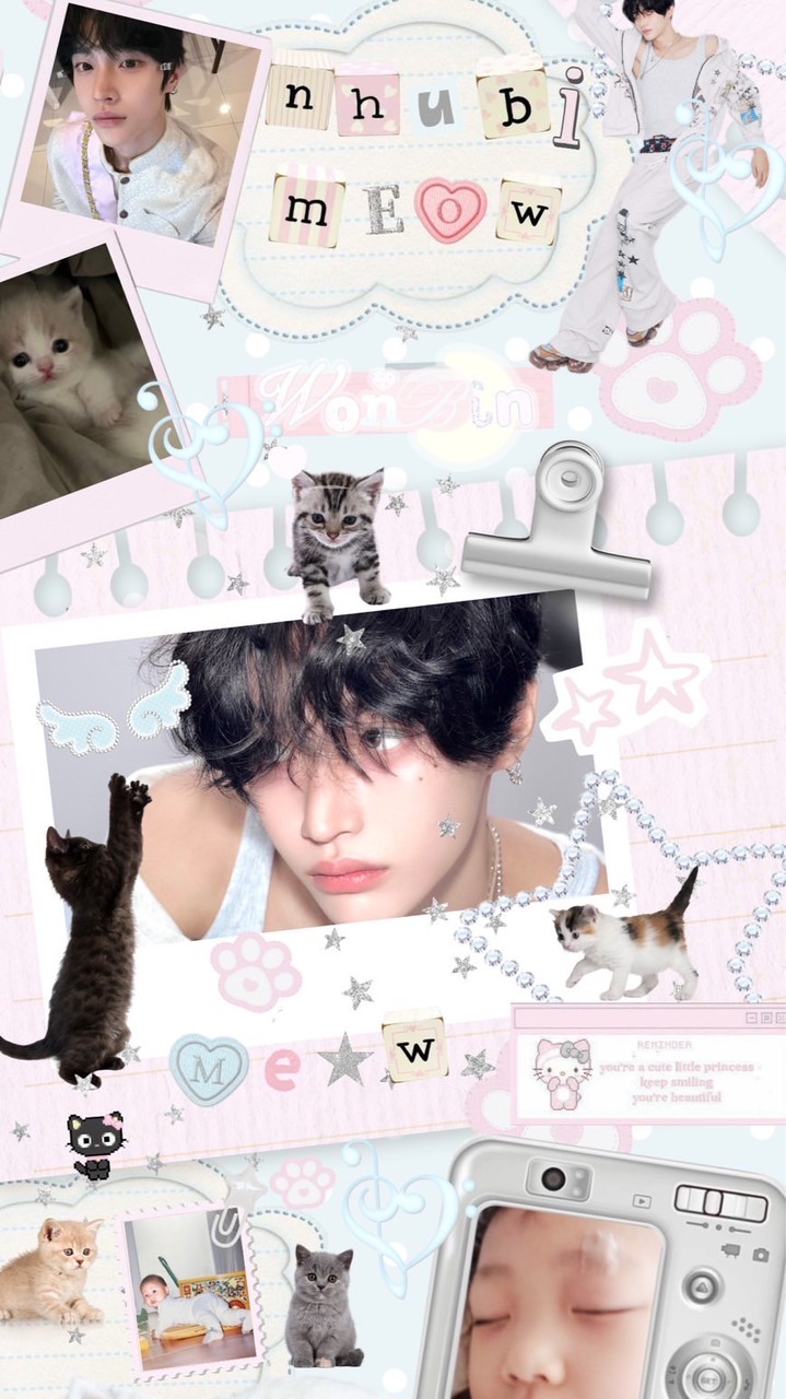 หนูบิแมวเหมียว