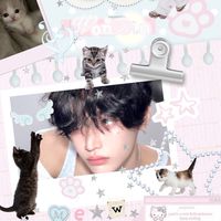 หนูบิแมวเหมียว