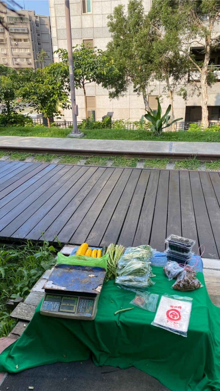 桃林鐵道旁筍園