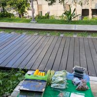 桃林鐵道旁筍園