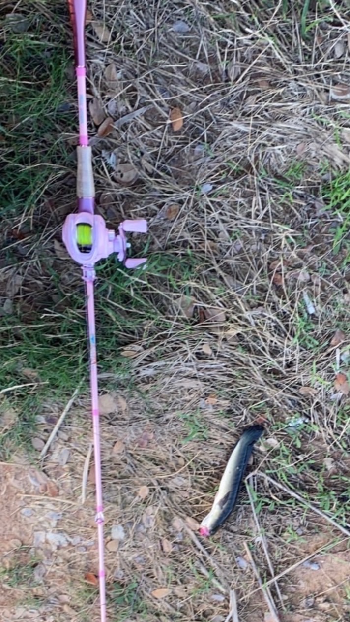 Fishing PL. 66