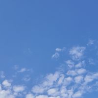 アラビア語好き集まれー！