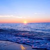 𝙉𝙀𝙓𝙏  𝙄𝘿𝙊𝙇 虚拟偶像海选💫✨