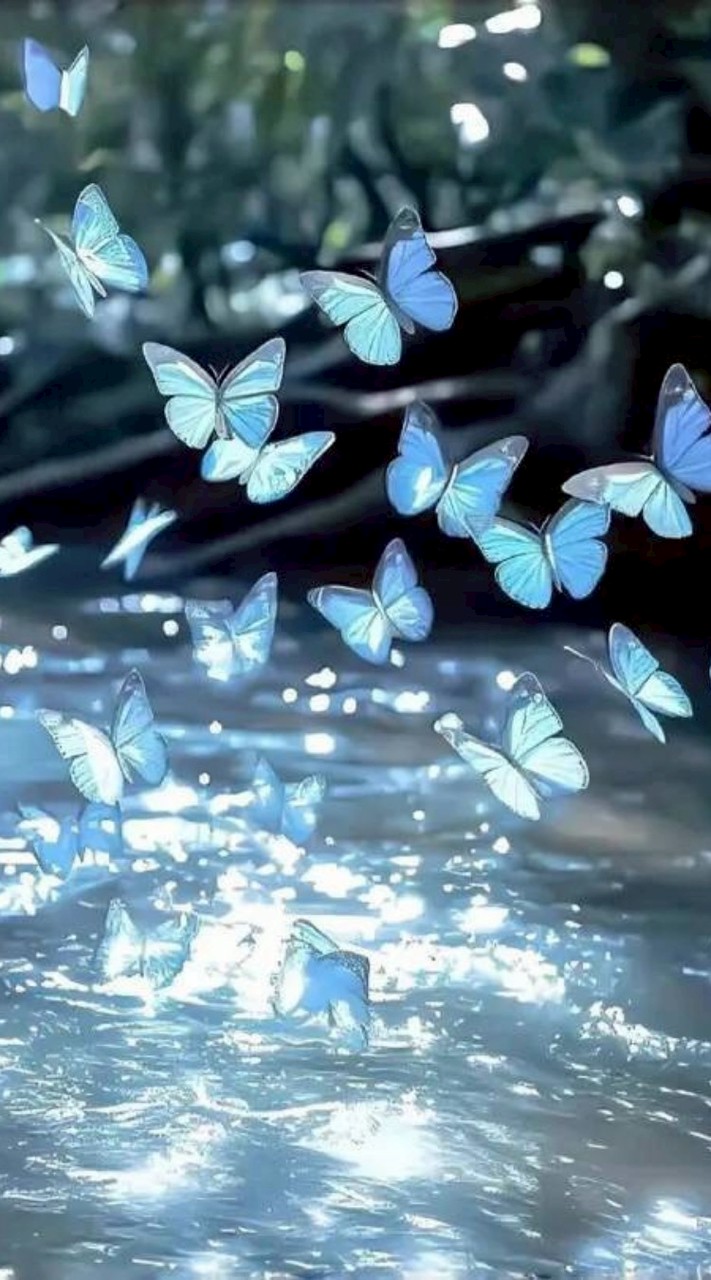 𝙉𝙀𝙓𝙏  𝙄𝘿𝙊𝙇 虚拟偶像海选💫✨