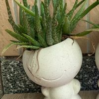 草級好朋友