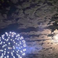 煙雨江樓皆知音