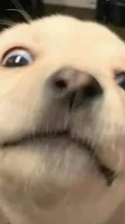 網癮俱樂部