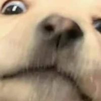 網癮俱樂部