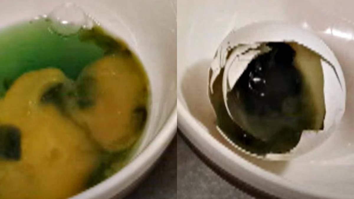 Re: [討論] 陳建仁被徐巧芯惹惱了