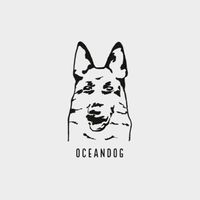 Oceandog寵物選品｜韓國代購🇰🇷