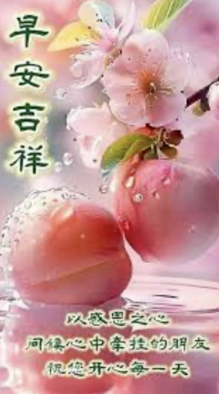 美-珍-傳-說