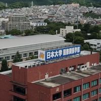 春から日大国際関係学部‼️