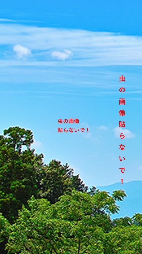 【虫画像貼付NG】自分でもできちゃう 虫対策 ！プロが教える本格派テクニック(暮らし・お得・節約)