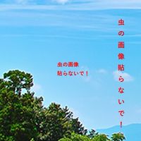 【虫画像貼付NG】自分でもできちゃう 虫対策 ！プロが教える本格派テクニック(暮らし・お得・節約)