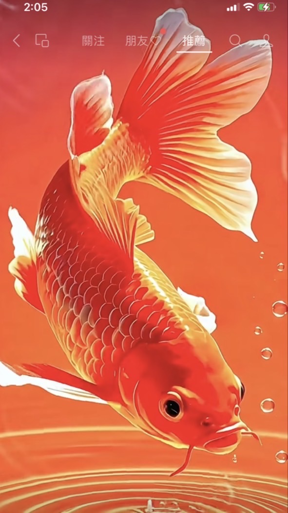 溫馨高級進口國產水果批發商場