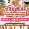 พัชรีฟาร์มกระต่ายสุพรรณบุรี(โอ๋)🐇🐹