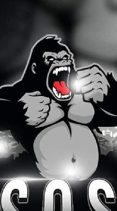 S.O.S E-SPORT
