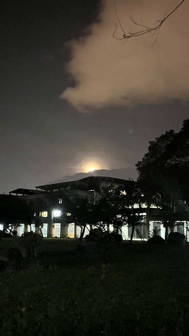 慈濟大學心靈樹洞