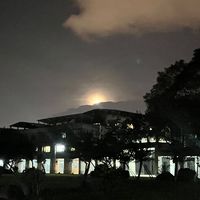 慈濟大學心靈樹洞