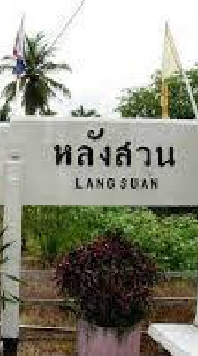 แวดวง ฅนหลังสวน