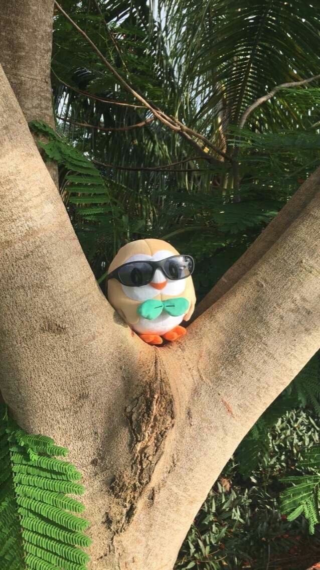 ざつだん
