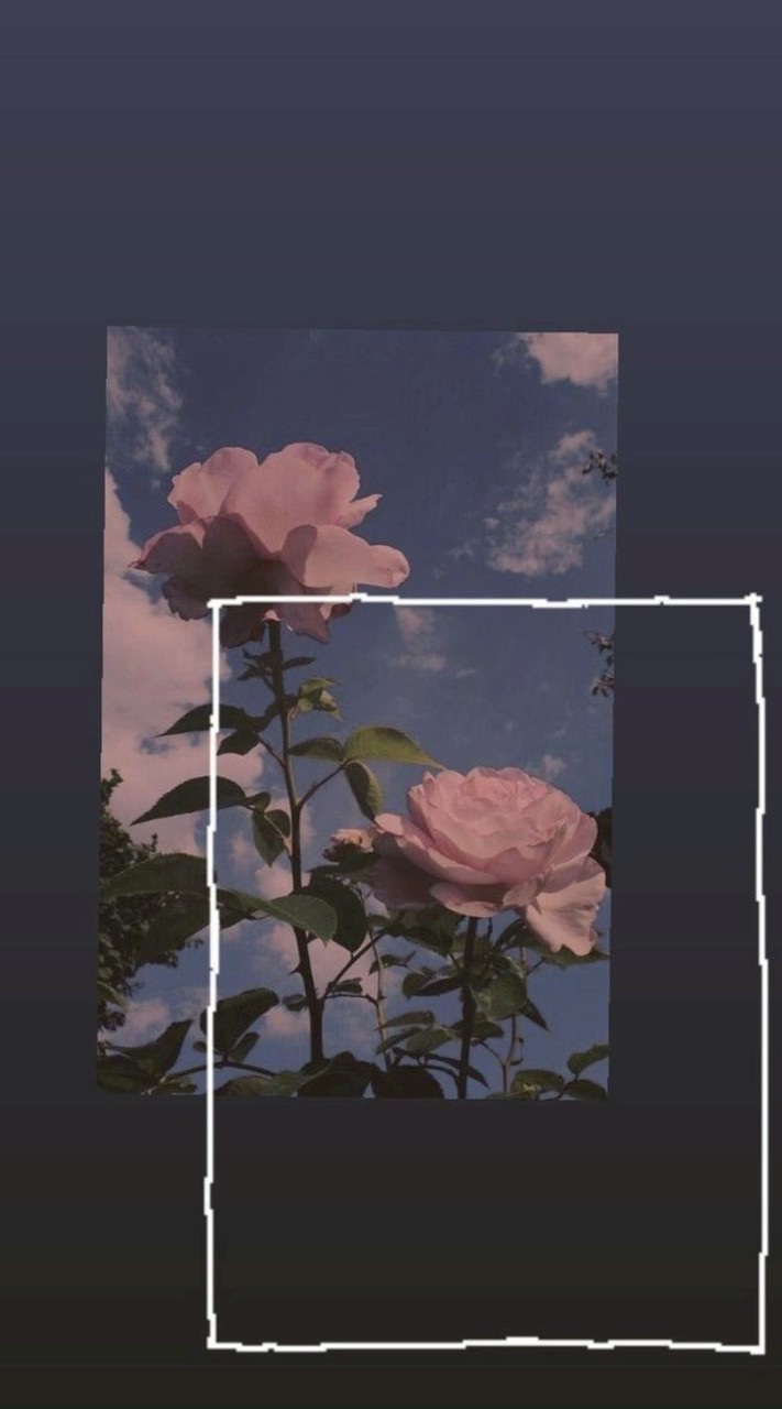 ⏤͟͟͞͞☆เหงาๆมาคุยเล่นเมคเฟรนหาเพื่อนหาแฟนปรึกษาได้ทุกเรื่อง 🌟🌈🌻🫶