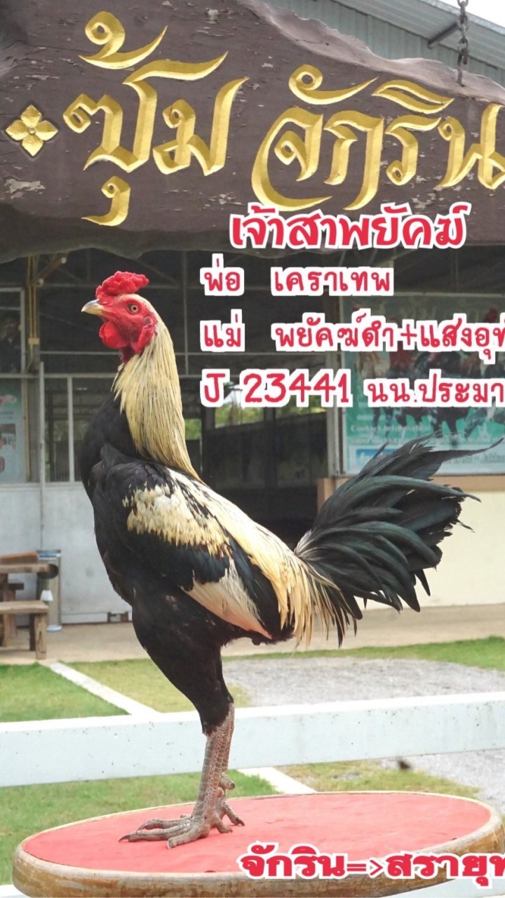 ส.สรายุทธ ฟาร์ม