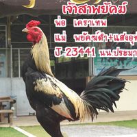 ส.สรายุทธ ฟาร์ม