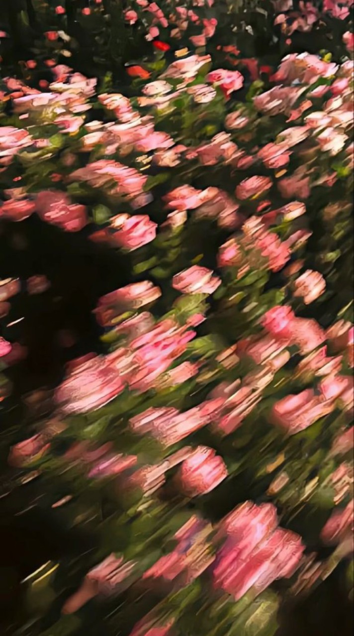 คุยเล่น+หาเพื่อน+แลกไอจี