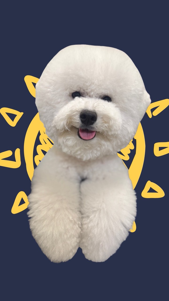 南台灣毛孩爸媽