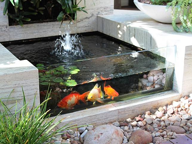 Kolam Ikan Mini Dengan Air Terjun - InfoAkuakultur.com