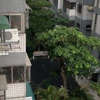 台中黎明