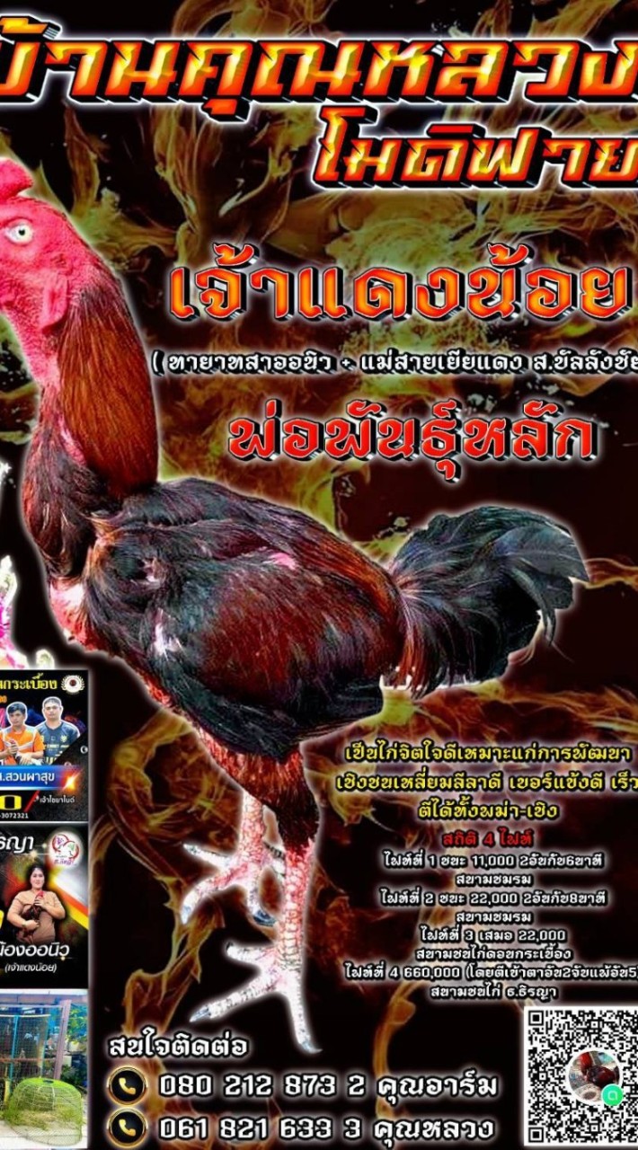 ซุ้ม บ้านคุณหลวง(โมดิฟาย)