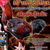 ซุ้ม บ้านคุณหลวง(โมดิฟาย)