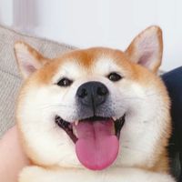 柴之國