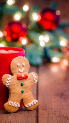 Merry Christmas🎄